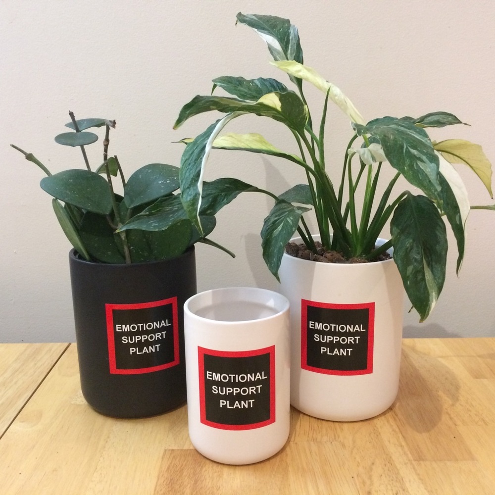 Emotional Support Plant sticker! - Picture 4 of 10